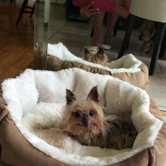 Meet your Posher, Katherine - Picture 1 of 1